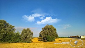 Textures   -   BACKGROUNDS &amp; LANDSCAPES   -   NATURE   -   Countrysides &amp; Hills  - Summer countryside landscape 20802