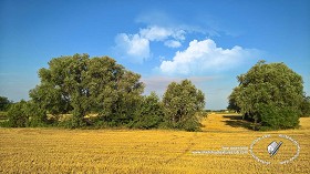 Textures   -   BACKGROUNDS &amp; LANDSCAPES   -   NATURE   -   Countrysides &amp; Hills  - Summer countryside landscape 20803