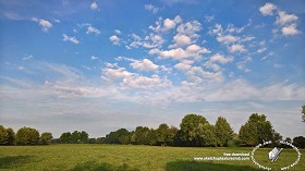 Textures   -   BACKGROUNDS &amp; LANDSCAPES   -   NATURE   -  Countrysides &amp; Hills - Country landscape with trees background 20956