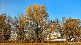 Textures   -   BACKGROUNDS &amp; LANDSCAPES   -   NATURE   -   Countrysides &amp; Hills  - Autumnal country landscape 21008