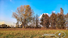 Textures   -   BACKGROUNDS &amp; LANDSCAPES   -   NATURE   -   Countrysides &amp; Hills  - Autumnal country landscape 21010