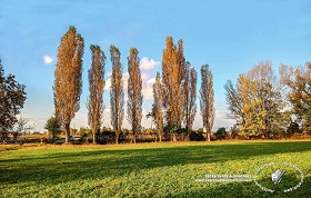 Textures   -   BACKGROUNDS &amp; LANDSCAPES   -   NATURE   -  Countrysides &amp; Hills - Autumnal country landscape 21011