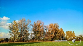 Textures   -   BACKGROUNDS &amp; LANDSCAPES   -   NATURE   -   Countrysides &amp; Hills  - Autumnal country landscape 21012
