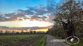 Textures   -   BACKGROUNDS &amp; LANDSCAPES   -   NATURE   -  Countrysides &amp; Hills - Autumn sunrise with countryside landscape 21025