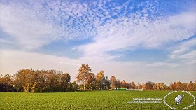 Textures   -   BACKGROUNDS &amp; LANDSCAPES   -   NATURE   -  Countrysides &amp; Hills - Country landscape with trees background 21034