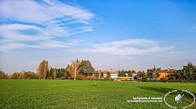 Textures   -   BACKGROUNDS &amp; LANDSCAPES   -   NATURE   -  Countrysides &amp; Hills - Country landscape with trees background 21035