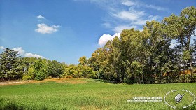 Textures   -   BACKGROUNDS &amp; LANDSCAPES   -   NATURE   -   Countrysides &amp; Hills  - Country landscape with trees background 21036