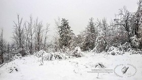 Textures   -   BACKGROUNDS &amp; LANDSCAPES   -   NATURE   -   Countrysides &amp; Hills  - First snowfall with countryside background 21159