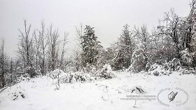 Textures   -   BACKGROUNDS &amp; LANDSCAPES   -   NATURE   -  Countrysides &amp; Hills - First snowfall with countryside background 21159