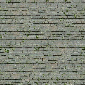 Textures   -   ARCHITECTURE   -   ROOFINGS   -  Flat roofs - 058 England old flat clay roof tiles texture seamless 03589