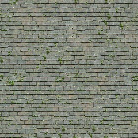 Textures   -   ARCHITECTURE   -   ROOFINGS   -   Flat roofs  - 058 England old flat clay roof tiles texture seamless 03589 (seamless)