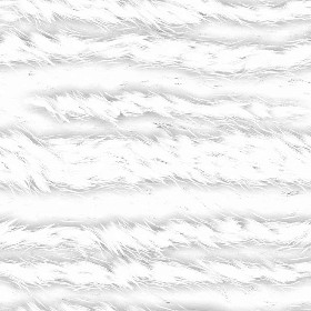 Textures   -   MATERIALS   -   FUR ANIMAL  - Faux fake fur animal texture seamless 09551 - Ambient occlusion