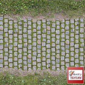 Textures   -   ARCHITECTURE   -   PAVING OUTDOOR   -  Parks Paving - Park cobblestone paving texture seamless 18661