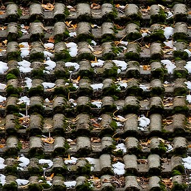 Textures   -   ARCHITECTURE   -   ROOFINGS   -  Snowy roofs - Snowy roof texture seamless 04029