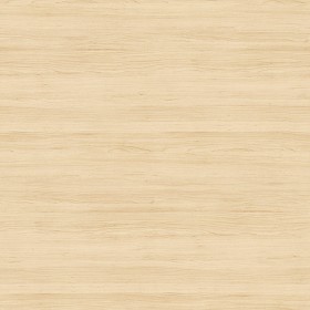 Textures   -   ARCHITECTURE   -   WOOD   -   Fine wood   -   Light wood  - Beech wood light wood fine texture seamless 04300 (seamless)