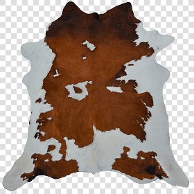 Textures   -   MATERIALS   -   RUGS   -  Cowhides rugs - Cow leather rug texture 20018
