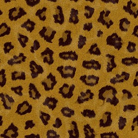 Textures   -   MATERIALS   -  FUR ANIMAL - Leopard faux fake fur animal texture seamless 09560