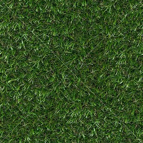 Textures   -   NATURE ELEMENTS   -   VEGETATION   -  Green grass - Artificial green grass texture seamless 13065