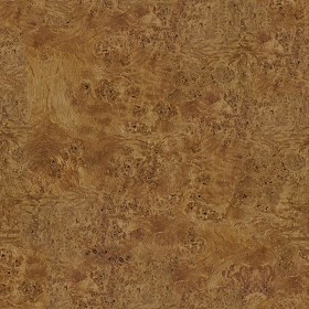 Textures   -   ARCHITECTURE   -   WOOD   -   Fine wood   -  Medium wood - Burl oak wood medium color texture seamless 04498