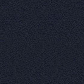Textures   -   MATERIALS   -   LEATHER  - Leather texture seamless 09685 - Specular