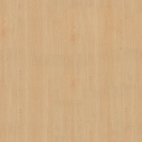 Textures   -   ARCHITECTURE   -   WOOD   -   Fine wood   -   Light wood  - Sycomore light wood fine texture 04392 (seamless)