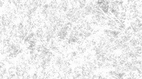 Textures   -   NATURE ELEMENTS   -   VEGETATION   -   Green grass  - Brambles texture seamless 17358 - Ambient occlusion