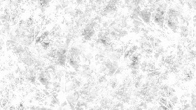 Textures   -   NATURE ELEMENTS   -   VEGETATION   -   Green grass  - Brambles texture seamless 17359 - Ambient occlusion