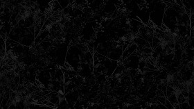 Textures   -   NATURE ELEMENTS   -   VEGETATION   -   Green grass  - Brambles texture seamless 17359 - Specular