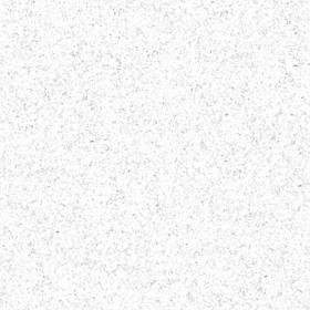 Textures   -   ARCHITECTURE   -   MARBLE SLABS   -   Granite  - Slab salt and pepper granite texture seamless 02221 - Ambient occlusion