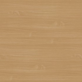 Textures   -   ARCHITECTURE   -   WOOD   -   Fine wood   -  Medium wood - Beech wood medium color texture seamless 04501