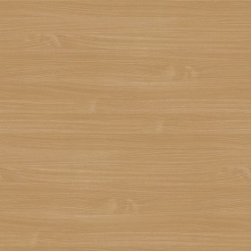 Textures   -   ARCHITECTURE   -   WOOD   -   Fine wood   -   Medium wood  - Beech wood medium color texture seamless 04501 (seamless)