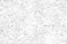 Textures   -   NATURE ELEMENTS   -   VEGETATION   -   Green grass  - Green grass texture seamless 17474 - Ambient occlusion
