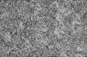 Textures   -   NATURE ELEMENTS   -   VEGETATION   -   Green grass  - Green grass texture seamless 17474 - Bump