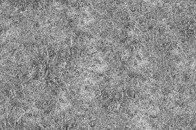 Textures   -   NATURE ELEMENTS   -   VEGETATION   -   Green grass  - Green grass texture seamless 17474 - Displacement