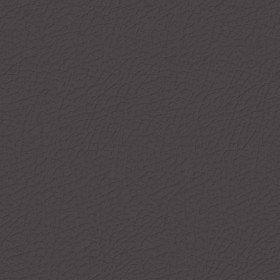 Textures   -   MATERIALS   -   LEATHER  - Leather texture seamless 09688 - Specular