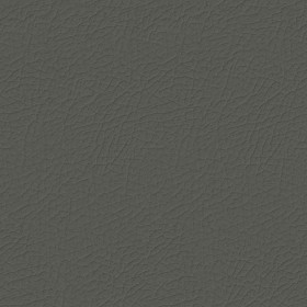 Textures   -   MATERIALS   -   LEATHER  - Leather texture seamless 09689 - Specular