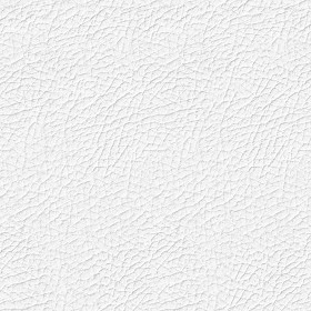 Textures   -   MATERIALS   -   LEATHER  - Leather texture seamless 09691 - Ambient occlusion