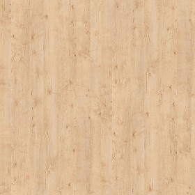 Textures   -   ARCHITECTURE   -   WOOD   -   Fine wood   -   Light wood  - light wood fine texture-seamless 05478 (seamless)