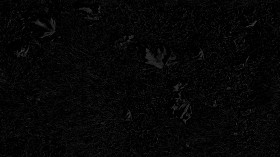 Textures   -   NATURE ELEMENTS   -   VEGETATION   -   Green grass  - Green grass texture seamless 17673 - Specular