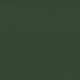 Textures   -   MATERIALS   -  LEATHER - Leather texture seamless 09597