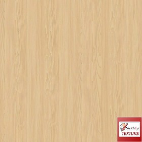 Textures   -   ARCHITECTURE   -   WOOD   -   Fine wood   -   Light wood  - Maple light wood fine texture seamless 04301 (seamless)