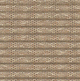 Textures   -   ARCHITECTURE   -   BRICKS   -   Facing Bricks   -  Rustic - Rustic bricks texture seamless 17195