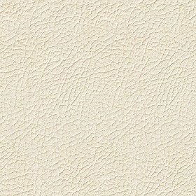 Beige Leather PBR Texture