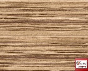 Textures   -   ARCHITECTURE   -   WOOD   -   Fine wood   -  Medium wood - zebrano wood fine medium color texture seamless 08700