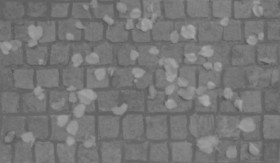 Textures   -   ARCHITECTURE   -   ROADS   -   Paving streets   -   Cobblestone  - Street paving cobblestone with leaves dead texture seamless 19017 - Displacement