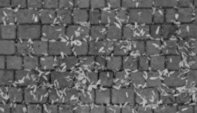 Textures   -   ARCHITECTURE   -   ROADS   -   Paving streets   -   Cobblestone  - Cobblestone with leaves dead texture seamless 20537 - Displacement