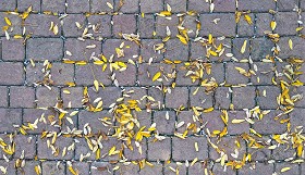 Textures   -   ARCHITECTURE   -   ROADS   -   Paving streets   -  Cobblestone - Cobblestone with leaves dead texture seamless 20537