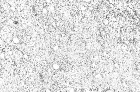 Textures   -   NATURE ELEMENTS   -   VEGETATION   -   Green grass  - Grass with chestnuts texture seamless 18246 - Ambient occlusion