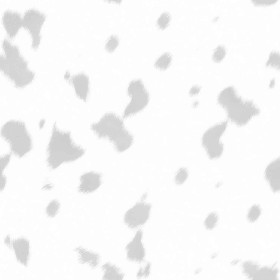 Textures   -   MATERIALS   -   FUR ANIMAL  - Dalmatian dog animal fur texture seamless 09562 - Ambient occlusion