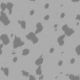 Textures   -   MATERIALS   -   FUR ANIMAL  - Dalmatian dog animal fur texture seamless 09562 - Displacement